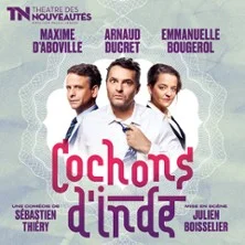 Cochons d'Inde